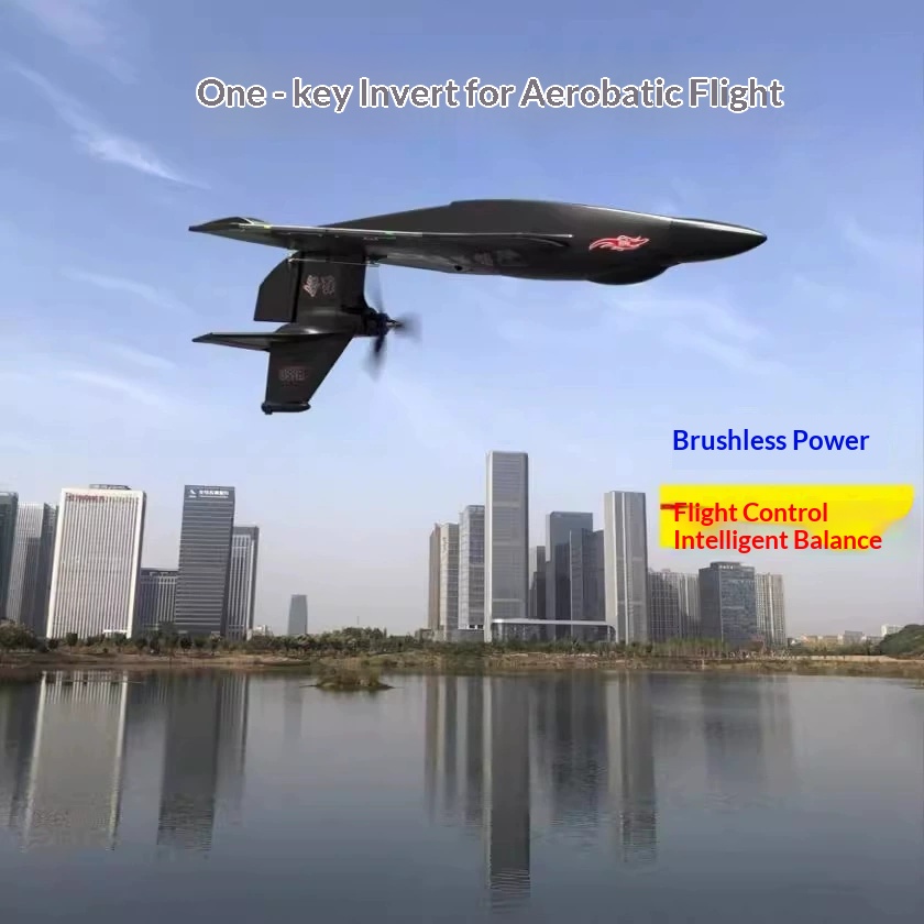 Rc Wing Glider - เครื่องบินบังคับวิทยุ 6CH รุ่น H650 Raptor มอเตอร์ไร้แปรงถ่าน